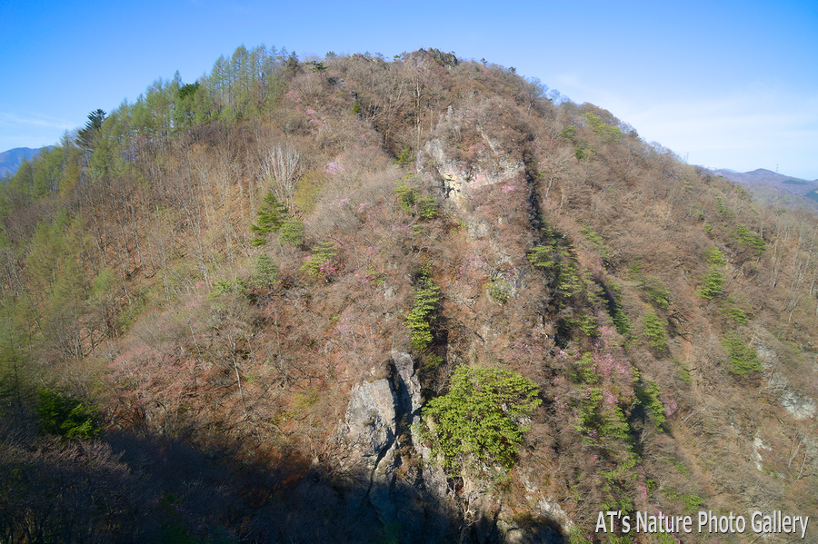 天狗岩から見たシラケ山／群馬県上野村、南牧村
