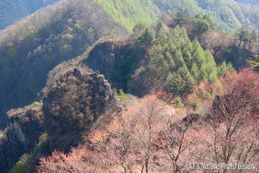 シラケ山から見た天狗岩／群馬県上野村、南牧村
