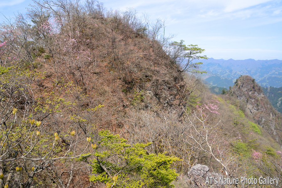 シラケ山岩稜P6付近から見たシラケ山P7と烏帽子岳／群馬県上野村、南牧村
