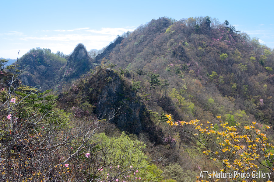 シラケ山岩稜P7から見た天狗岩、一本岩峰、シラケ山／群馬県上野村、南牧村