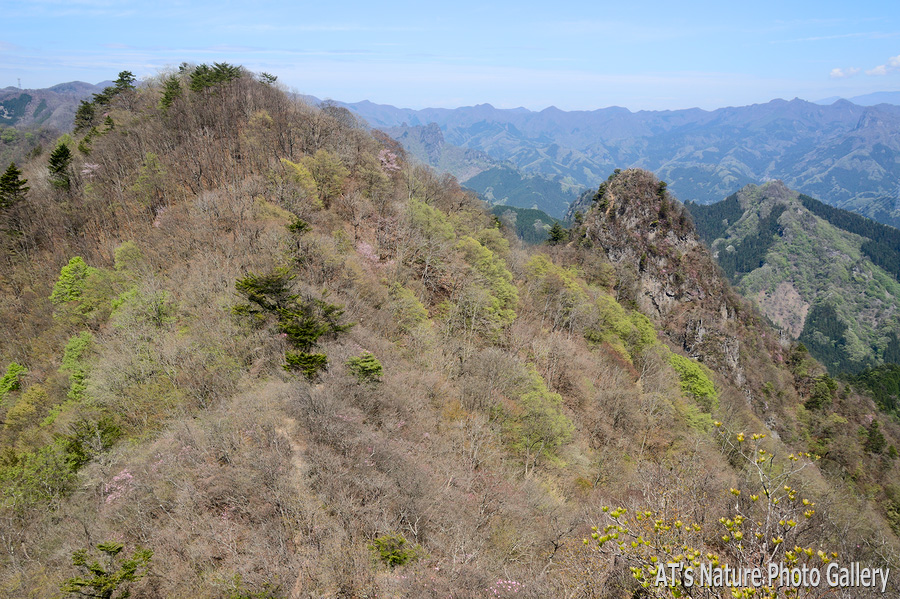 シラケ山岩稜P7から見たマルと烏帽子岳／群馬県上野村、南牧村