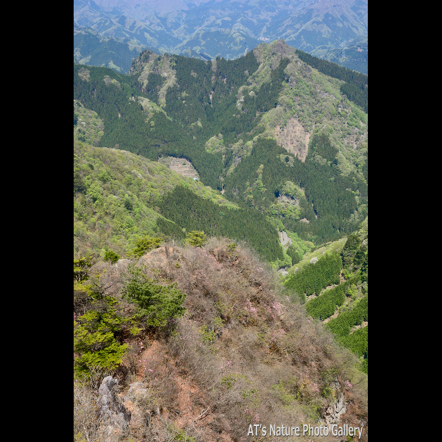 烏帽子岳から見た三ッ岩岳／シラケ山／群馬県上野村、南牧村