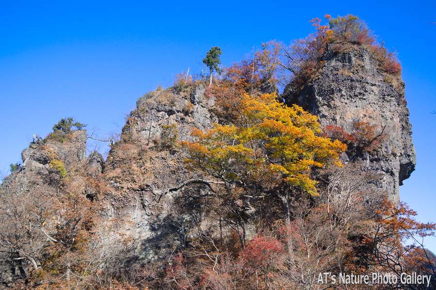 25m鎖の岩峰南側から見た25m鎖の岩峰／妙義、金洞山