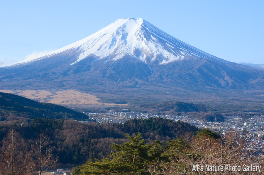 堂尾山富士見台から富士山展望