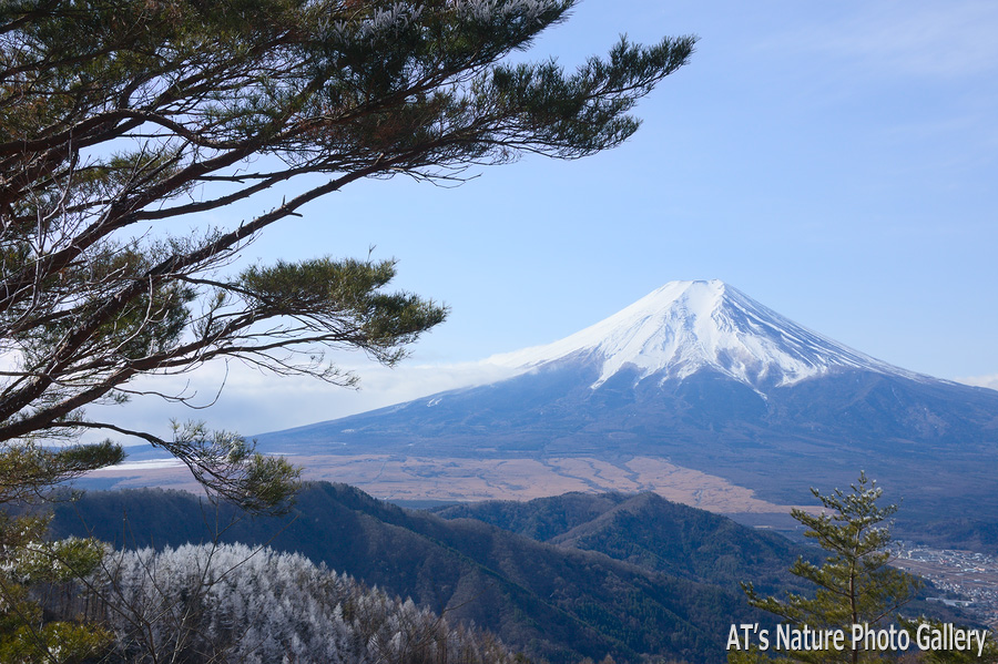 倉見山見晴台付近から富士山展望
