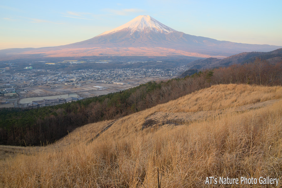 鳥居地峠～高座山から富士山展望