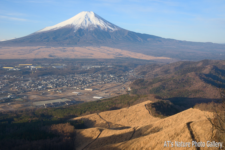 高座山中腹から富士山展望