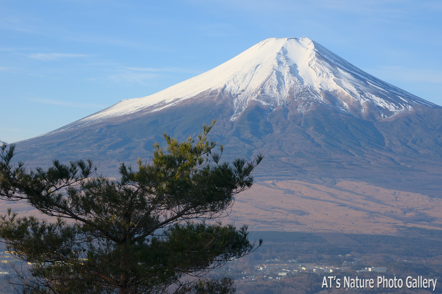 高座山から見た富士山