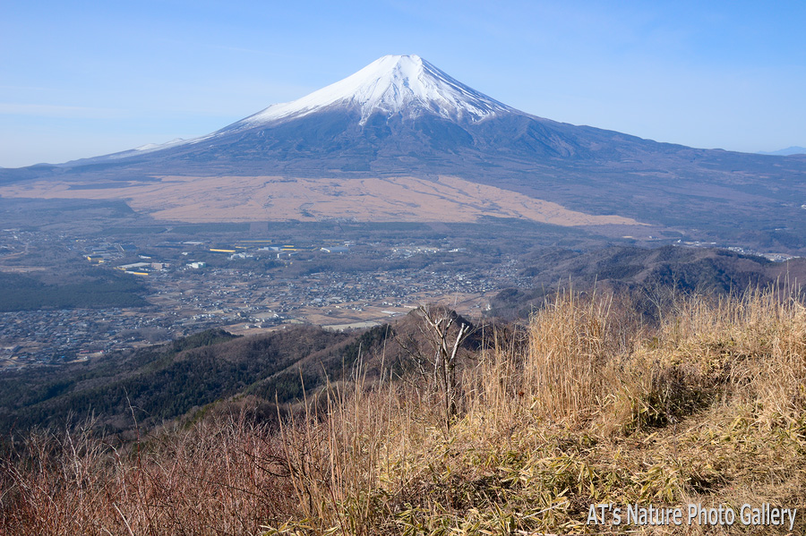 杓子山から富士山展望