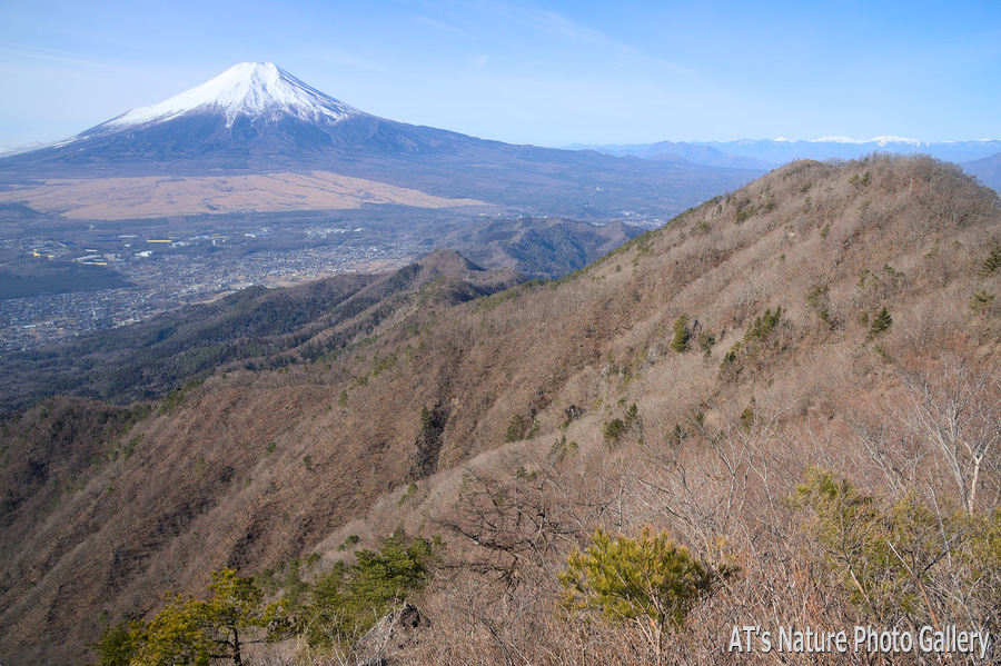 杓子山～鹿留山から富士山展望