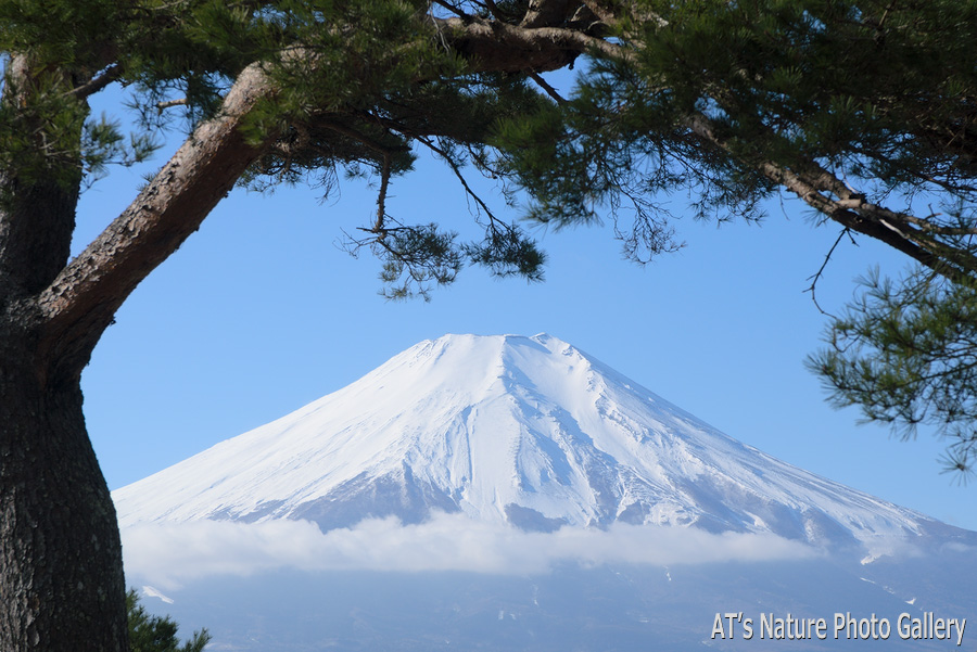 二十曲峠から見た富士山
