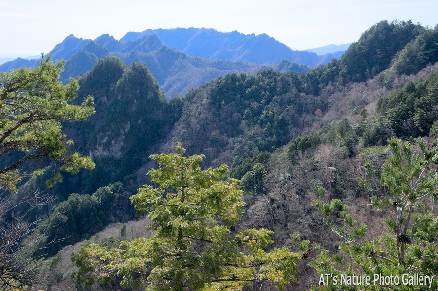 大山付近から見た両神山／天丸山／上武国境の山、群馬県上野村