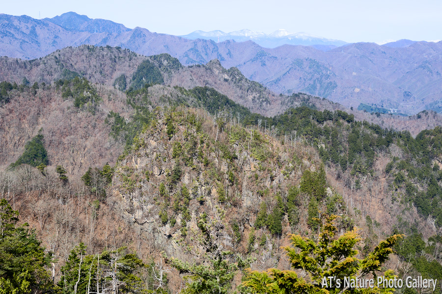 大山から見た、尾根の途中に盛り上がる天丸山／上武国境の山、群馬県上野村