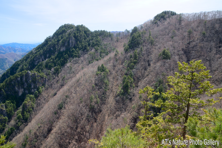 天丸山から見た大山／天丸山／上武国境の山、群馬県上野村