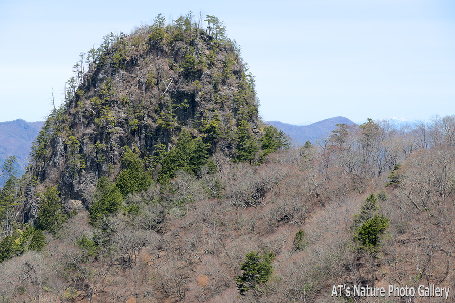 馬道のコル西側から見た天丸山／上武国境の山、群馬県上野村