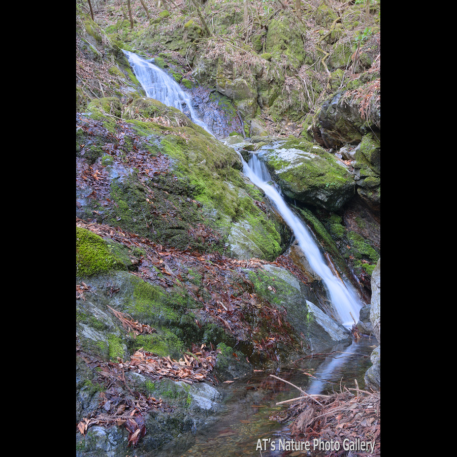 登山道から見える二番目の滝／天丸沢の滝／上武国境、天丸山から流れる沢／群馬県上野村