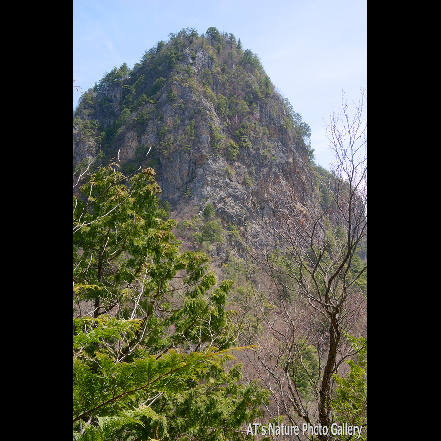赤岩峠付近から見た赤岩岳／大ナゲシ、赤岩岳／上武国境の山、群馬県上野村、埼玉県秩父市