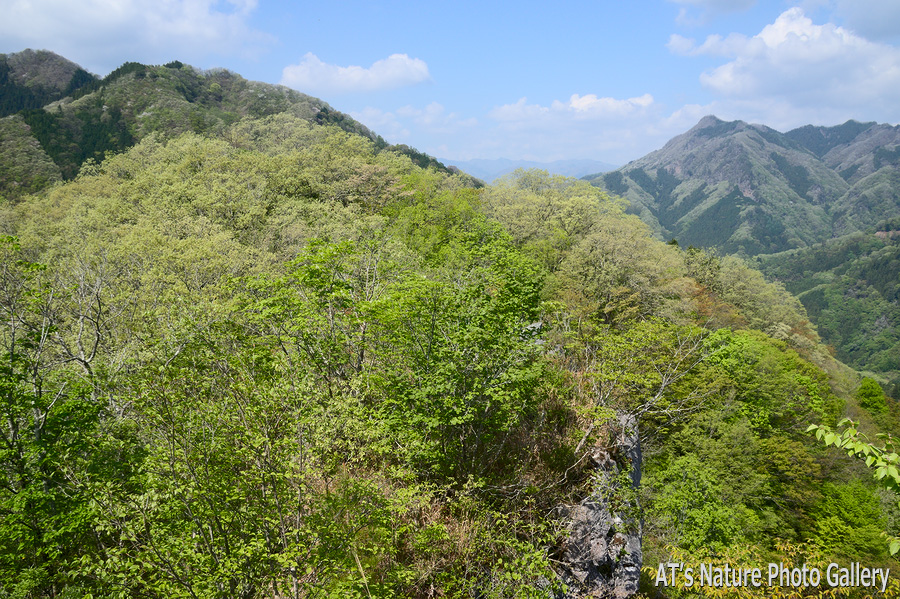 立処山から見た西側ピークと上野村方面の山並／立処山／西上州の山、群馬県神流町