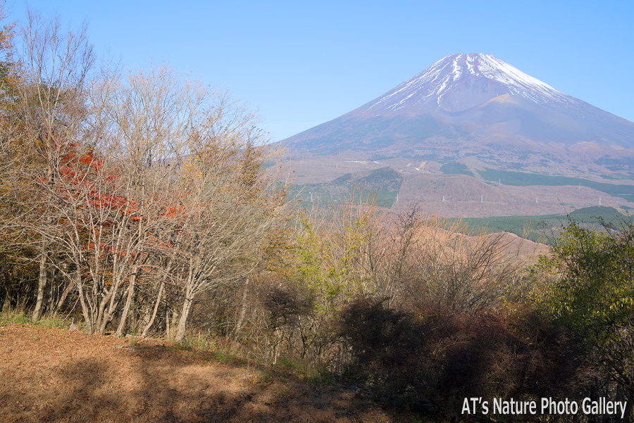 黒岳から見た富士山／愛鷹山