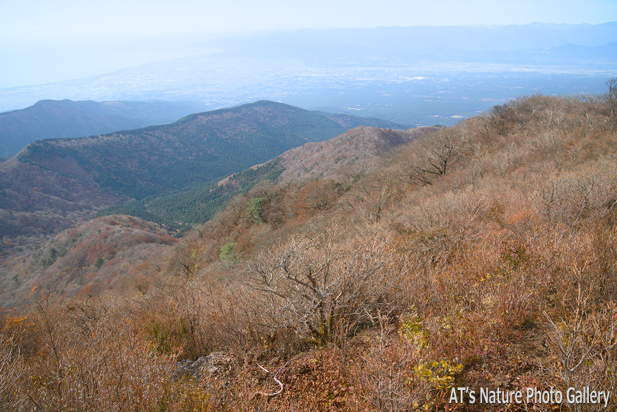 越前岳から見た南西斜面と富士市方面／愛鷹山