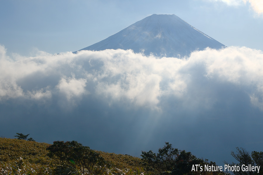 竜ヶ岳から見た朝の富士山／竜ヶ岳とダイヤモンド富士