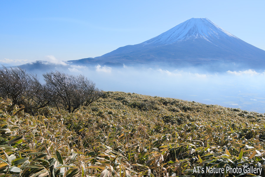 竜ヶ岳から見た富士山／竜ヶ岳とダイヤモンド富士