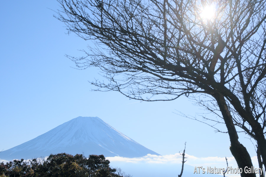 竜ヶ岳から見た富士山／竜ヶ岳とダイヤモンド富士