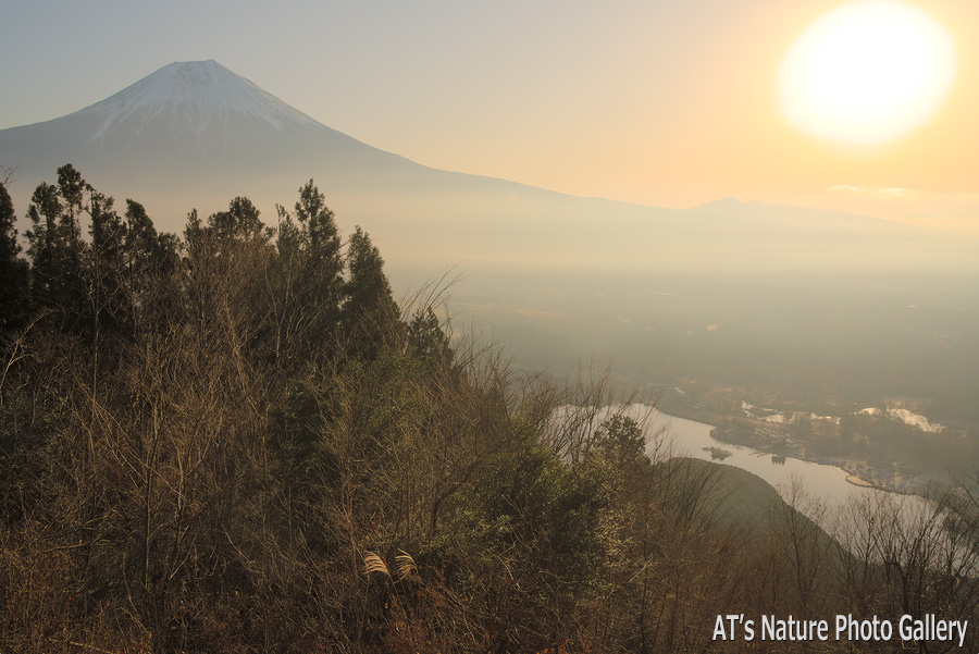 長者ヶ岳登山道から見た富士山と田貫湖／長者ヶ岳、天子ヶ岳