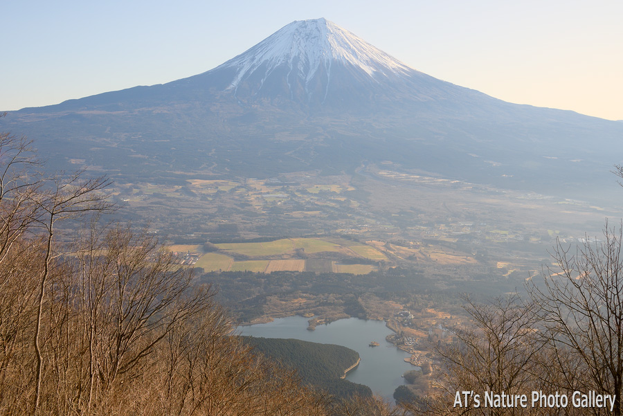 長者ヶ岳から見た富士山と田貫湖／長者ヶ岳、天子ヶ岳