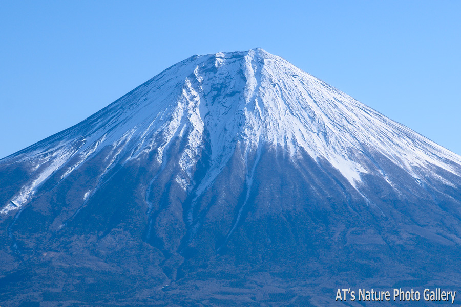 天子ヶ岳から見た富士山／長者ヶ岳、天子ヶ岳