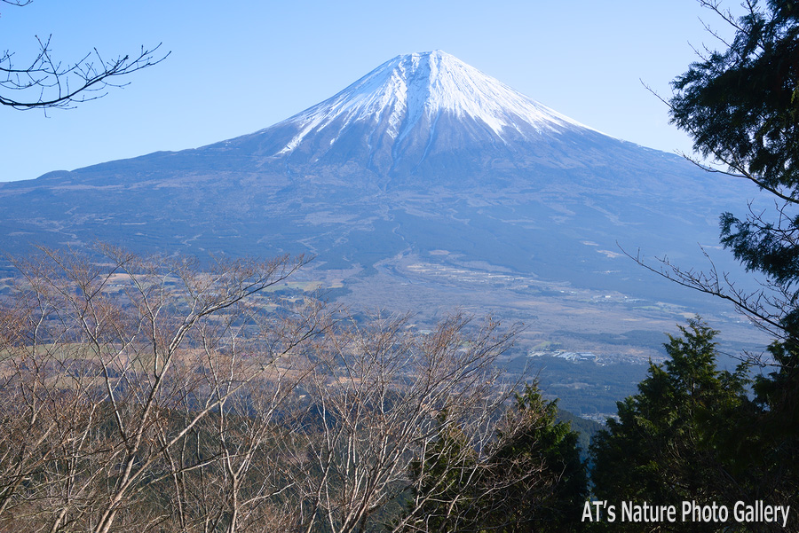 天子ヶ岳登山道から見た富士山／長者ヶ岳、天子ヶ岳