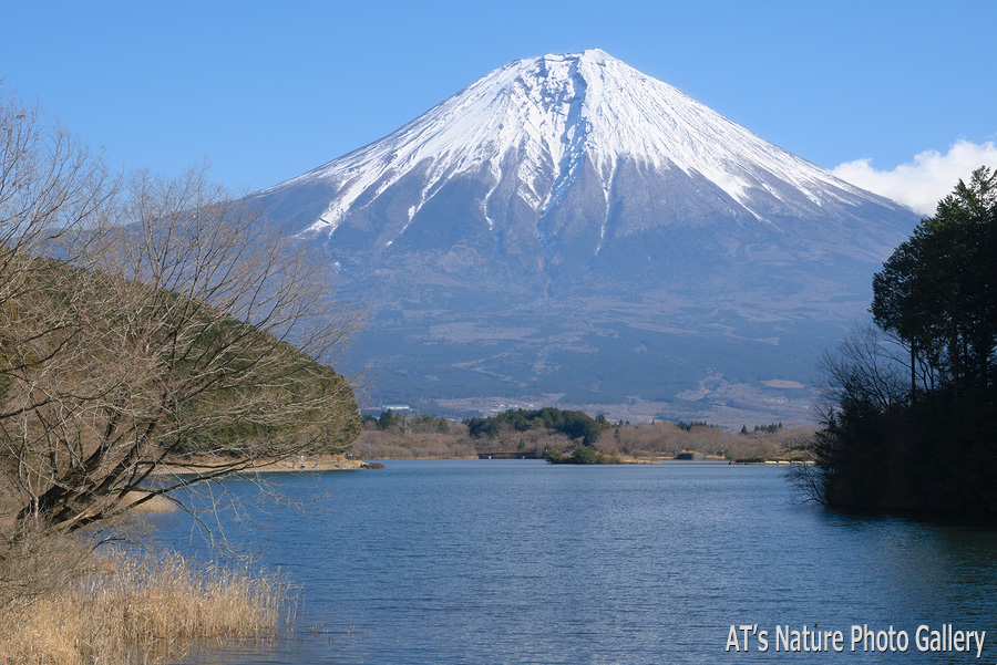 田貫湖と富士山／長者ヶ岳、天子ヶ岳