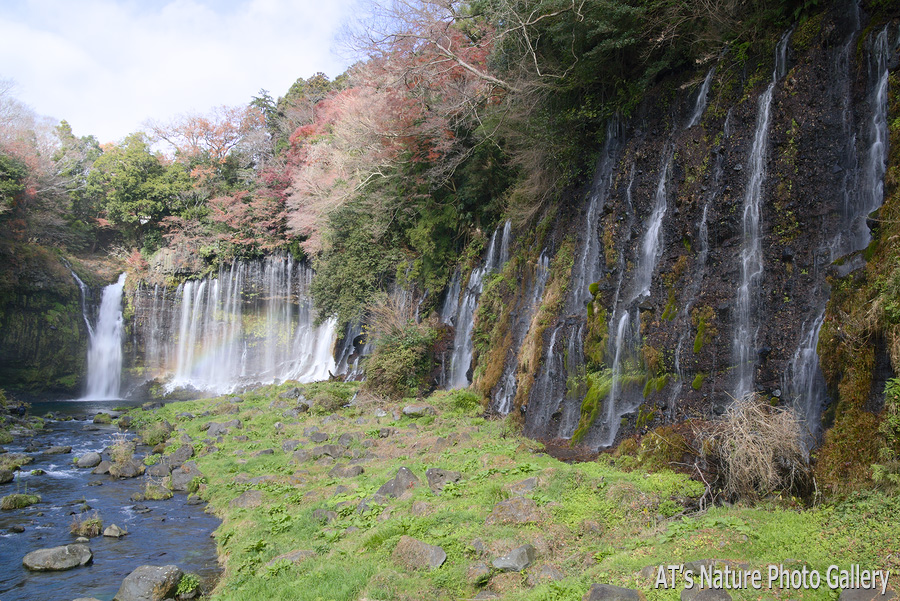 白糸の滝／静岡東部の滝