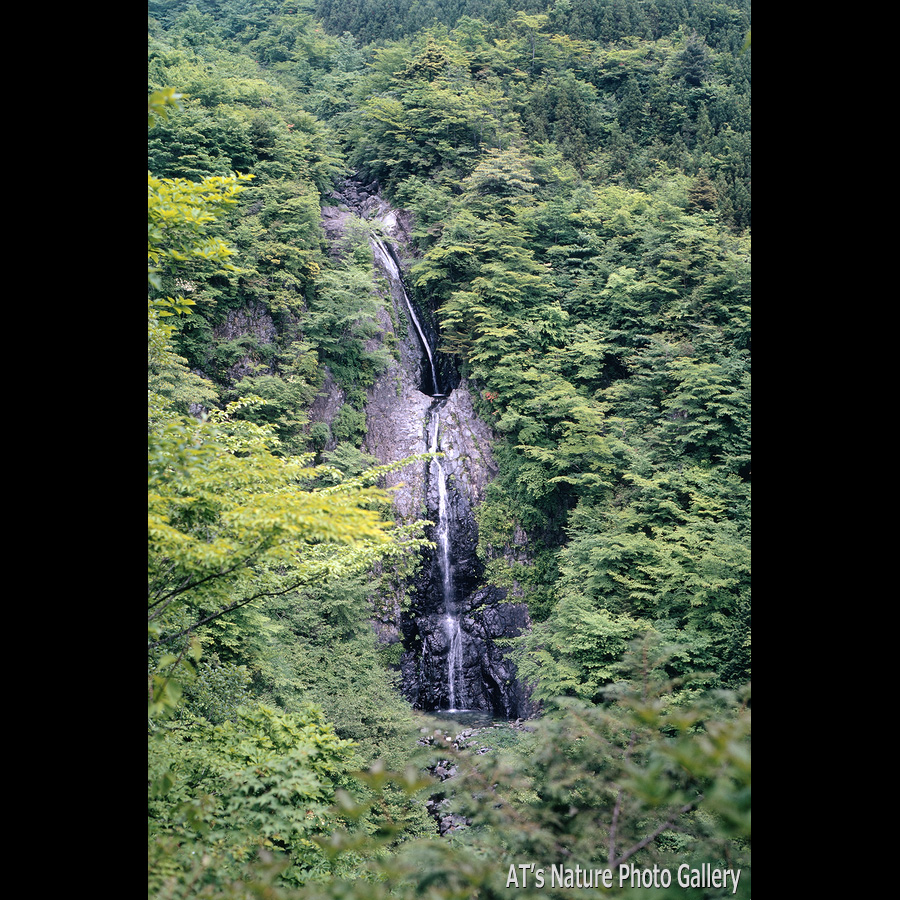 不動の滝／静岡東部の滝
