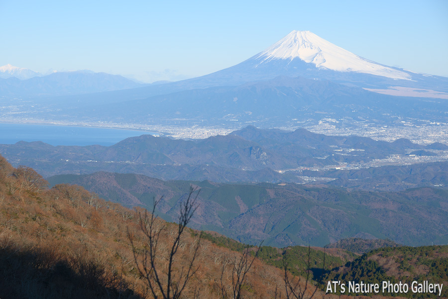 万二郎岳から見た富士山／天城山