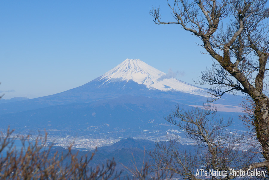 万三郎岳付近から見た富士山／天城山