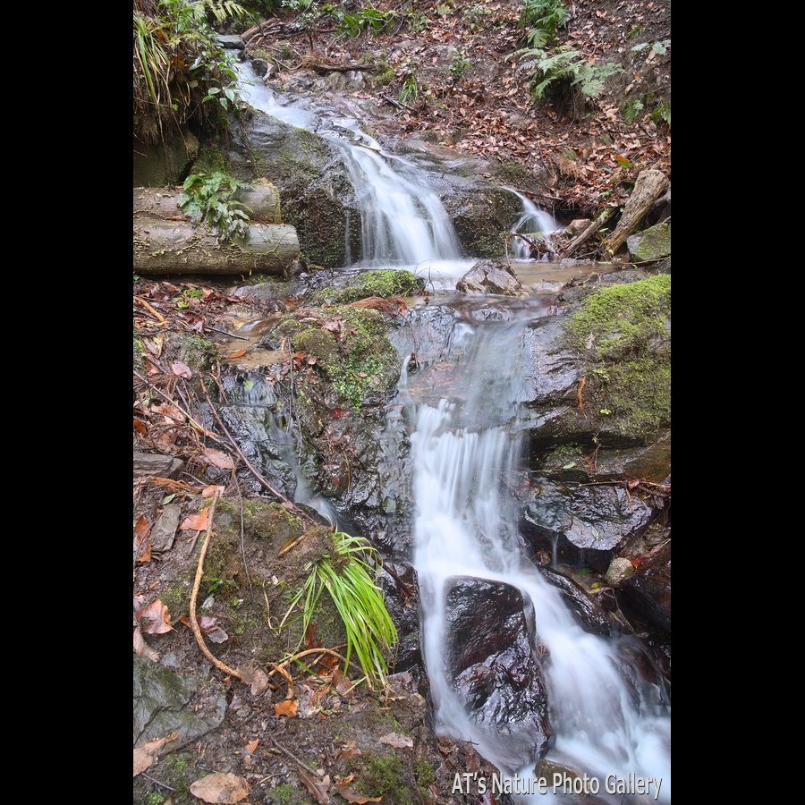 姫の滝上流の滝／筑波山と周辺の滝