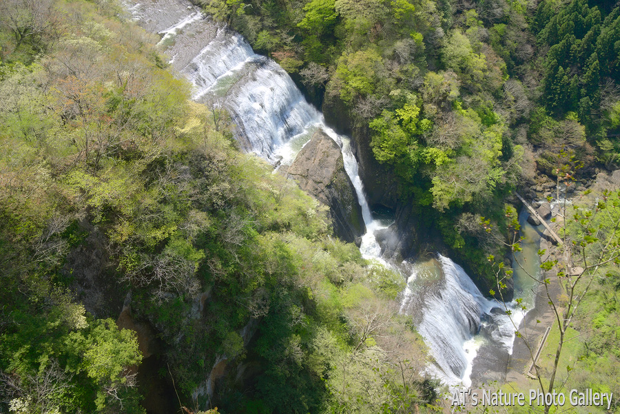 滝のぞきから見た袋田の滝／生瀬富士、月居山／茨城県大子町
