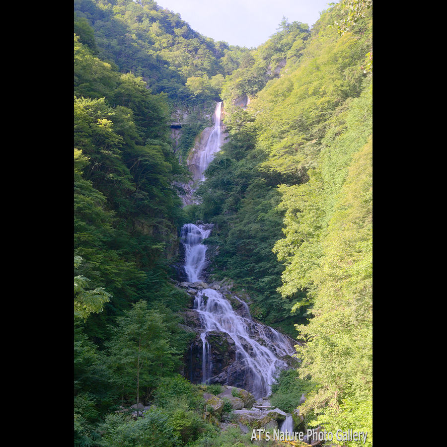 滝見台から見た精進ヶ滝と九段の滝／石空川渓谷
