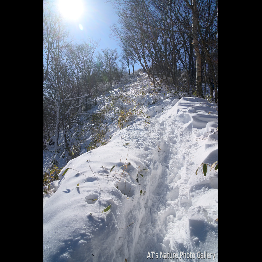 雪に埋もれる長七郎山北側の尾根／地蔵岳（赤城山）／群馬県前橋市