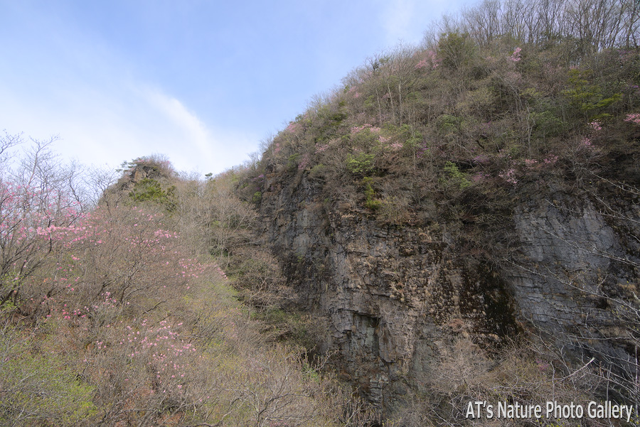 ヒゲスリ岩付近から見た桧沢岳／桧沢岳／群馬県南牧村