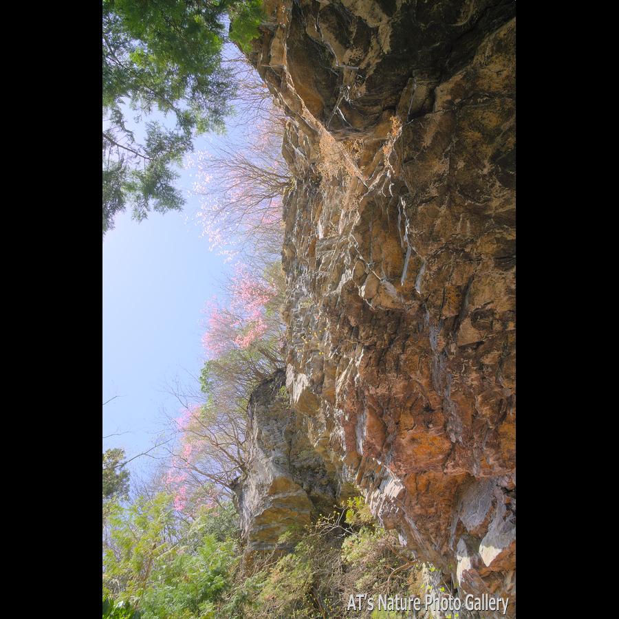 桧沢岳神社の頭上に覆いかぶさる岩壁／桧沢岳／群馬県南牧村