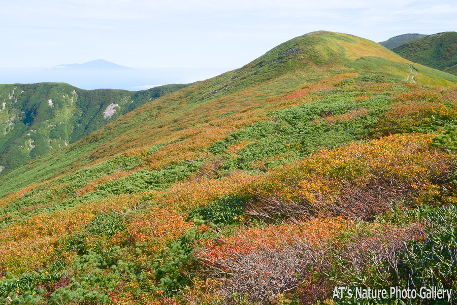 姥ヶ岳から見た鳥海山と1688ｍピーク／月山／山形