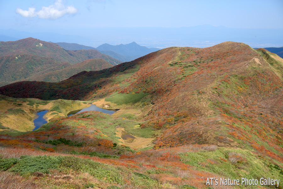 東焼石岳から見た六沢山と西側の湿原／焼石岳／岩手
