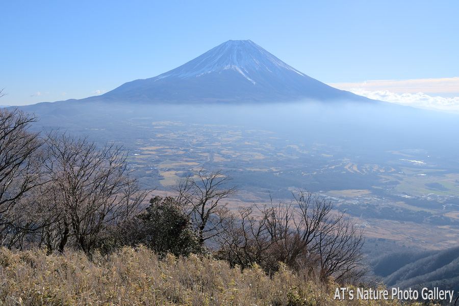 雨ヶ岳付近から見た富士山／毛無山、雨ヶ岳／静岡、山梨