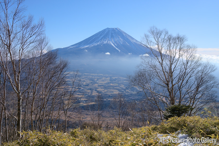 雨ヶ岳から見た富士山／毛無山、雨ヶ岳／静岡、山梨