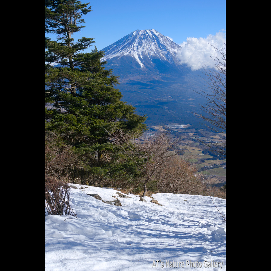 毛無山から見た富士山／毛無山、雨ヶ岳／静岡、山梨