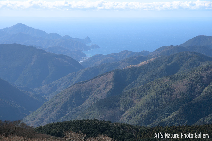 展望台から見た松崎方面の海岸線／猫越岳／静岡