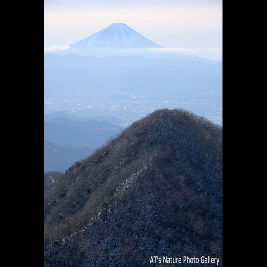 金ヶ岳中腹から見た富士山と茅ヶ岳／茅ヶ岳、金ヶ岳／山梨