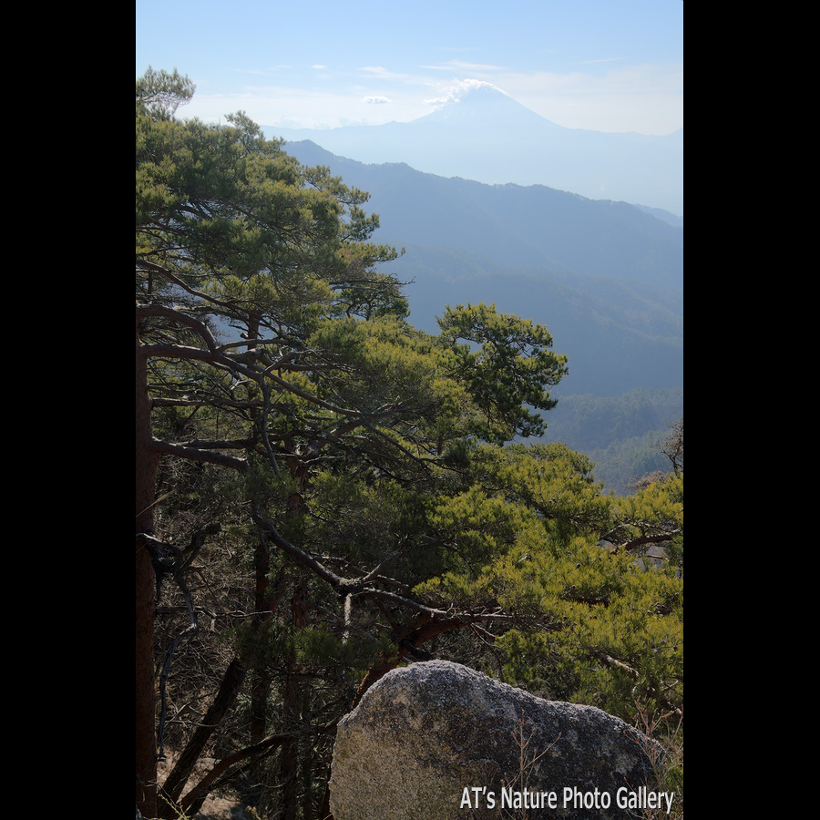 白砂山から見た富士山／羅漢寺山／山梨